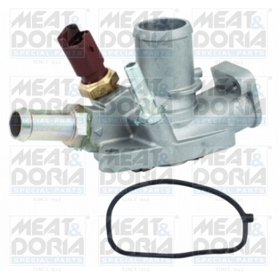 Thermostat, coolant